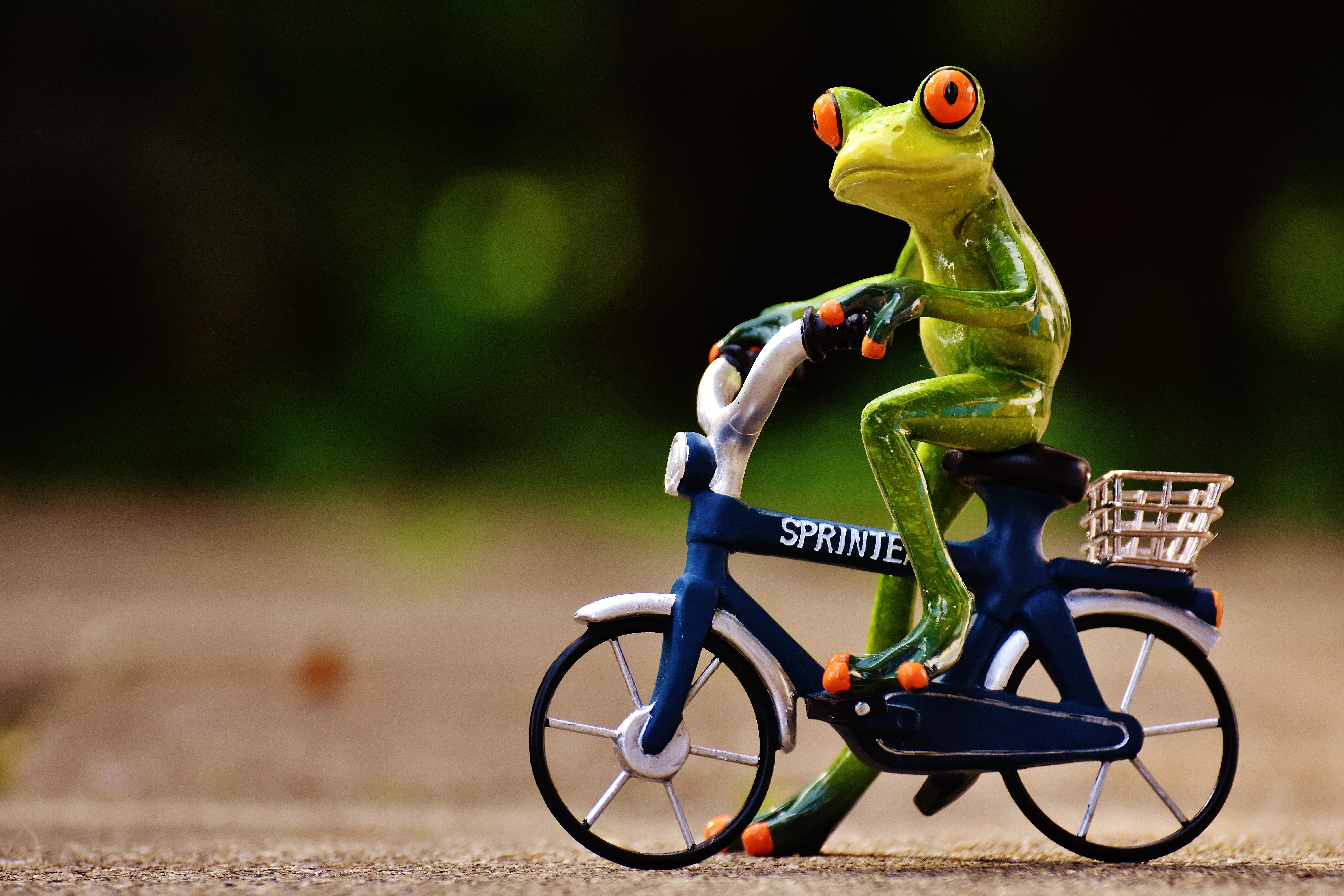 frog riding bicycle ceramic figurine free image Peakpx