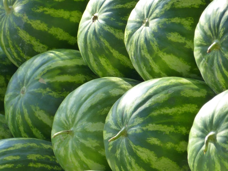 fruit-water-melons-green-melons-wallpaper-preview.jpg