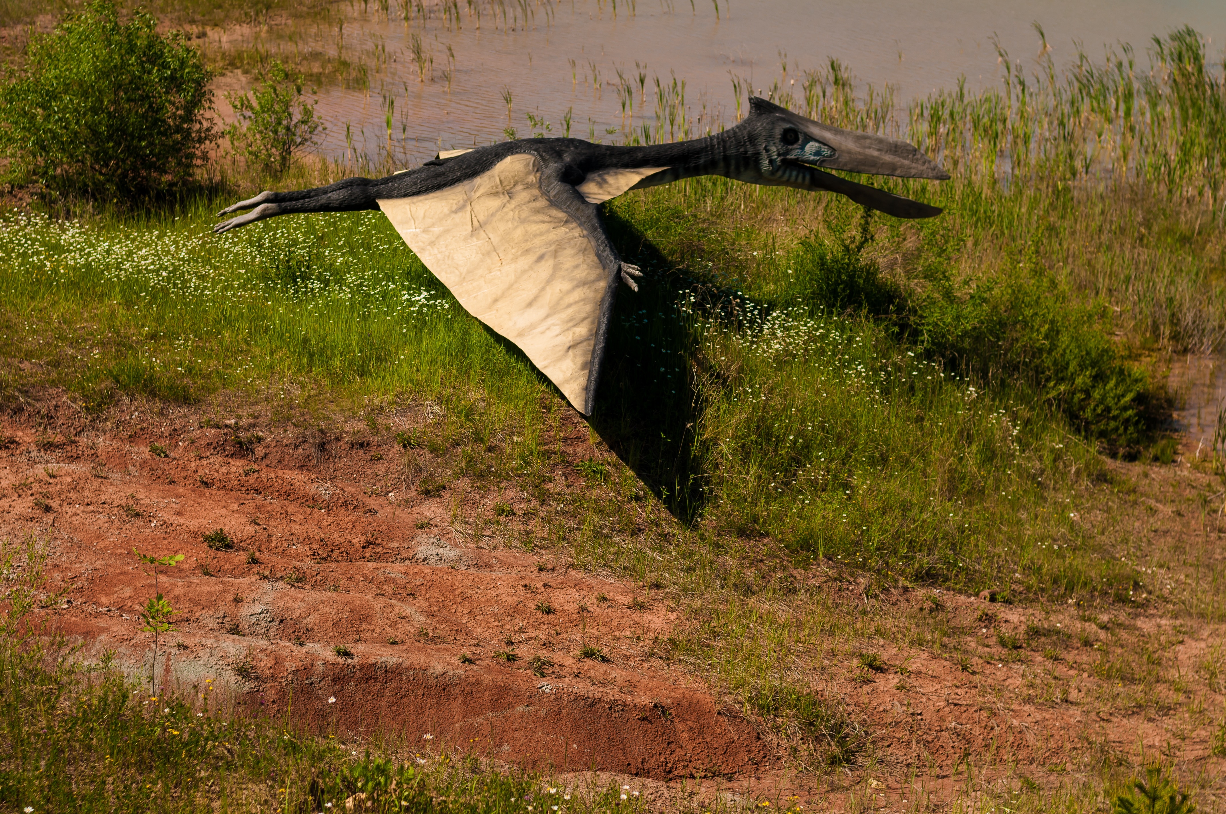 giant pterodactyl