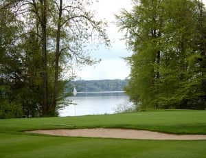 Course, Germany, Green, Golf, Sand Trap, tree, golf thumbnail