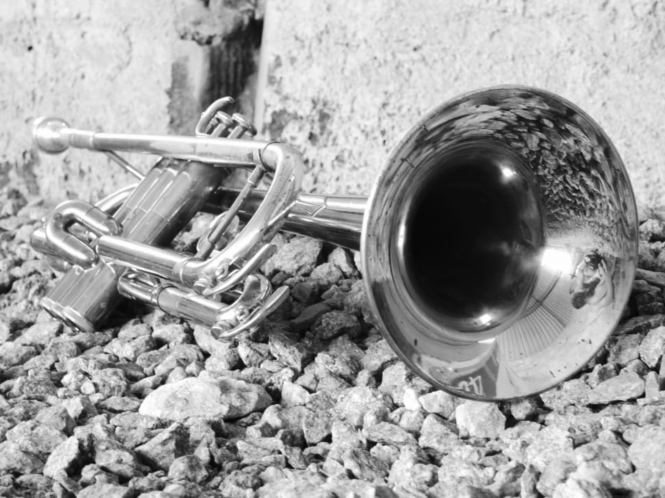 grayscale photography of brass trumpet preview