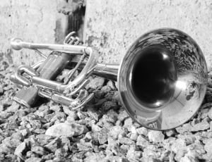 grayscale photography of brass trumpet thumbnail
