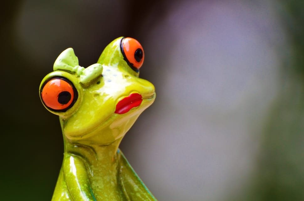 red and green frog preview