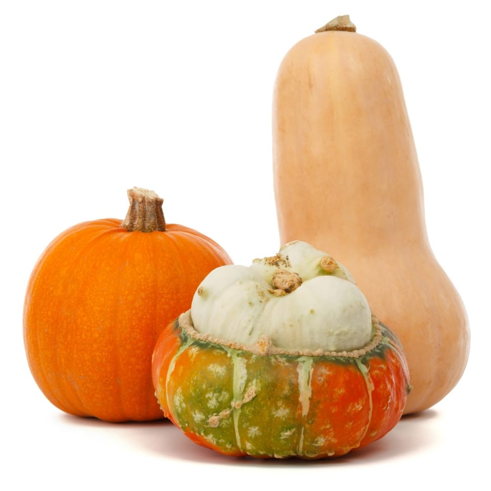 Autumn, Food, Fall, Gourd, Fresh, food and drink, food preview