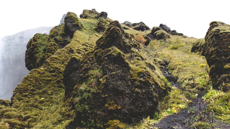 mountain covered in green moss preview