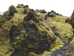 mountain covered in green moss thumbnail