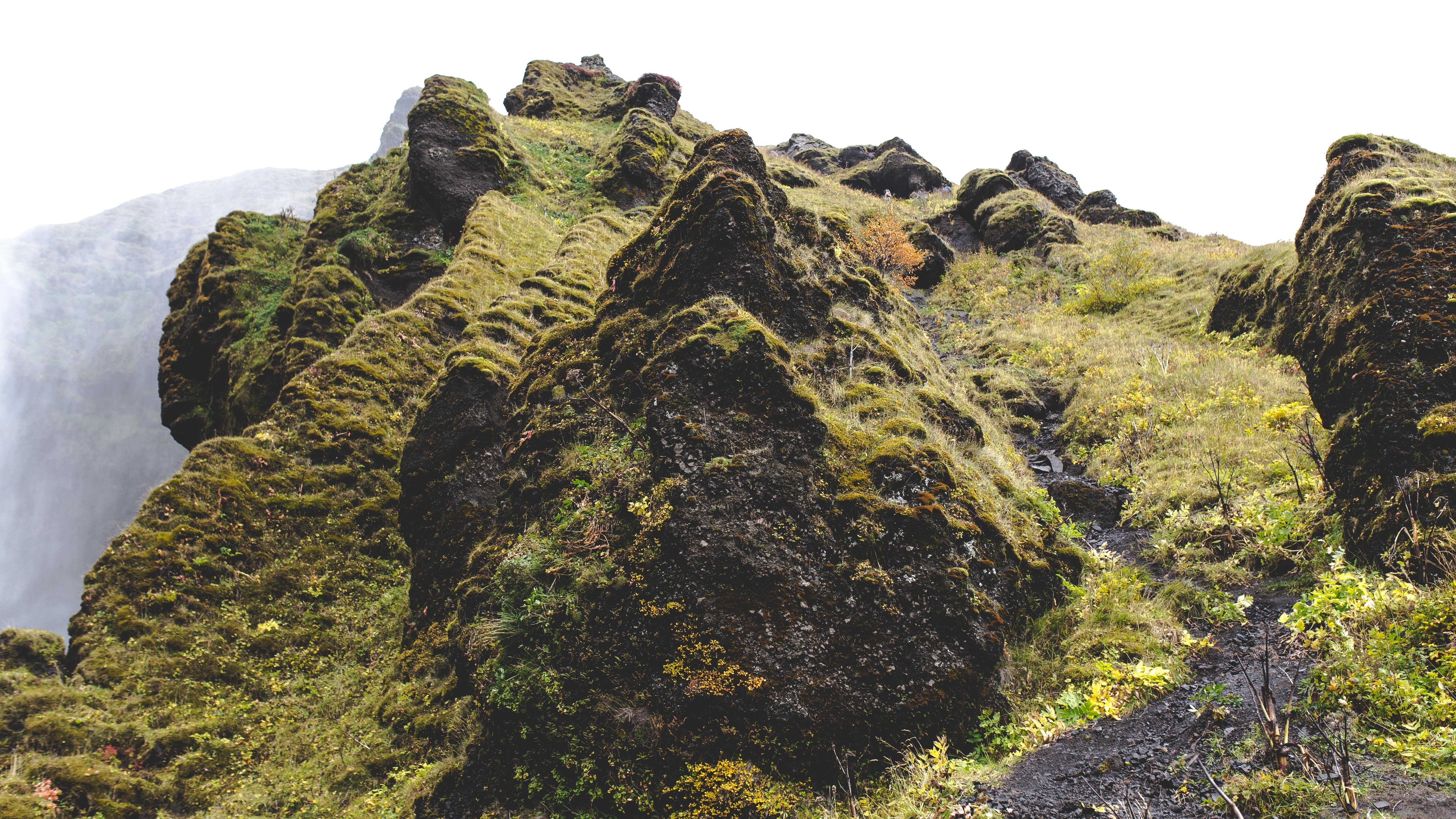 mountain covered in green moss