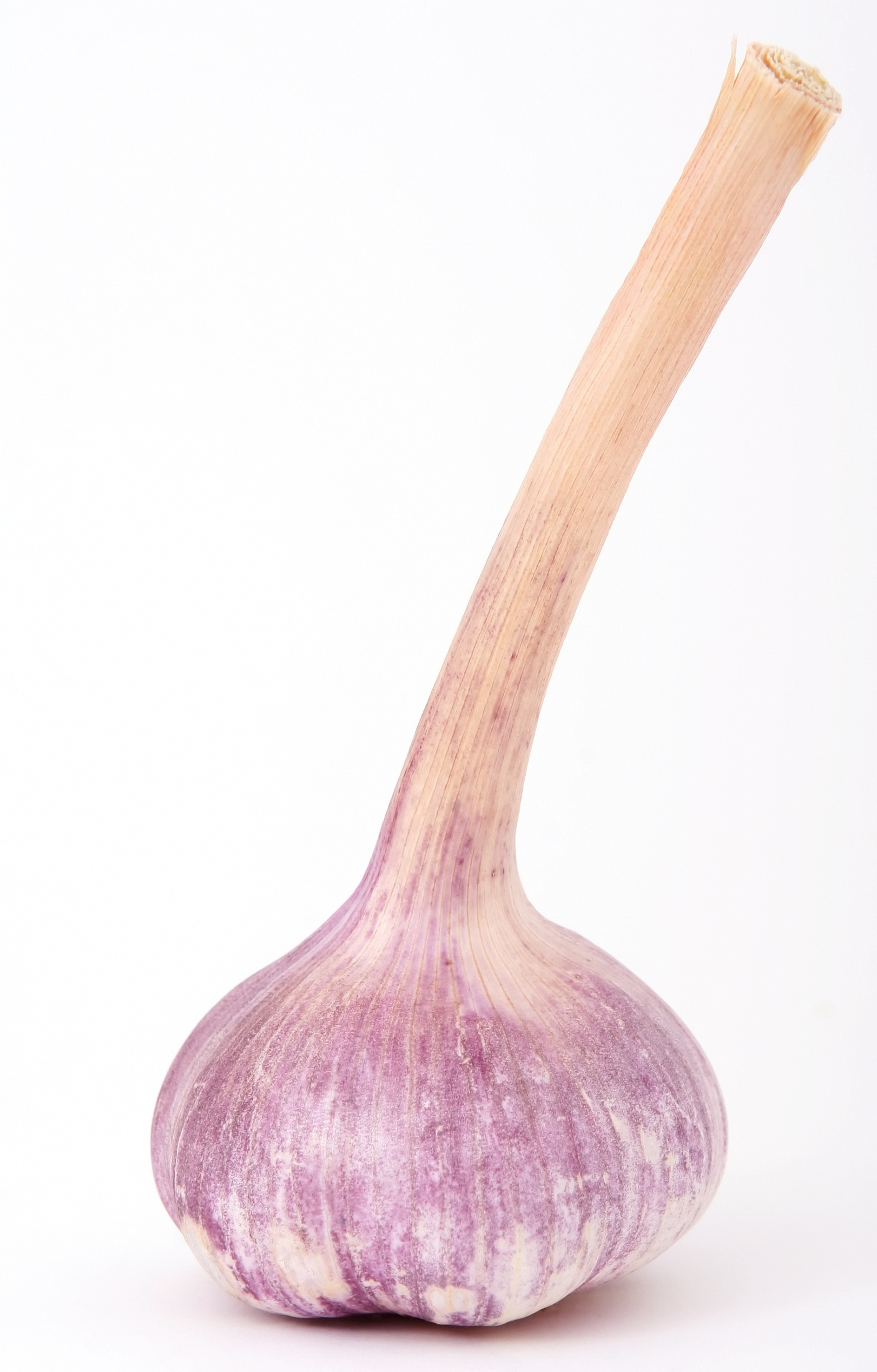 brown and purple onion