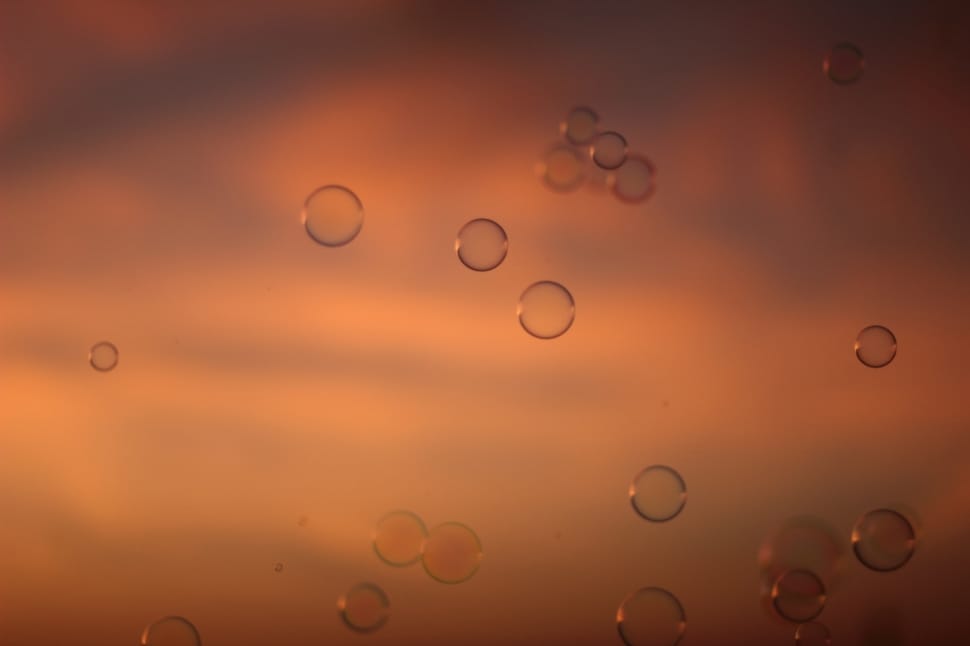 close up photography of bubbles preview