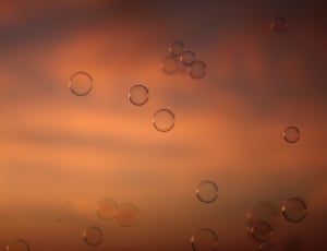 close up photography of bubbles thumbnail