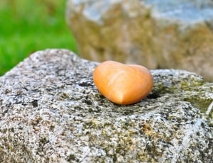 Heart, Wooden Heart, Nature, Stone, rock - object, no people thumbnail