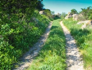 pathway near green trees under blue sky during daytime thumbnail