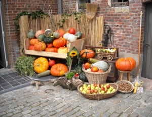 Pumpkins, Fruits, Vegetables, Nuts, pumpkin, vegetable thumbnail