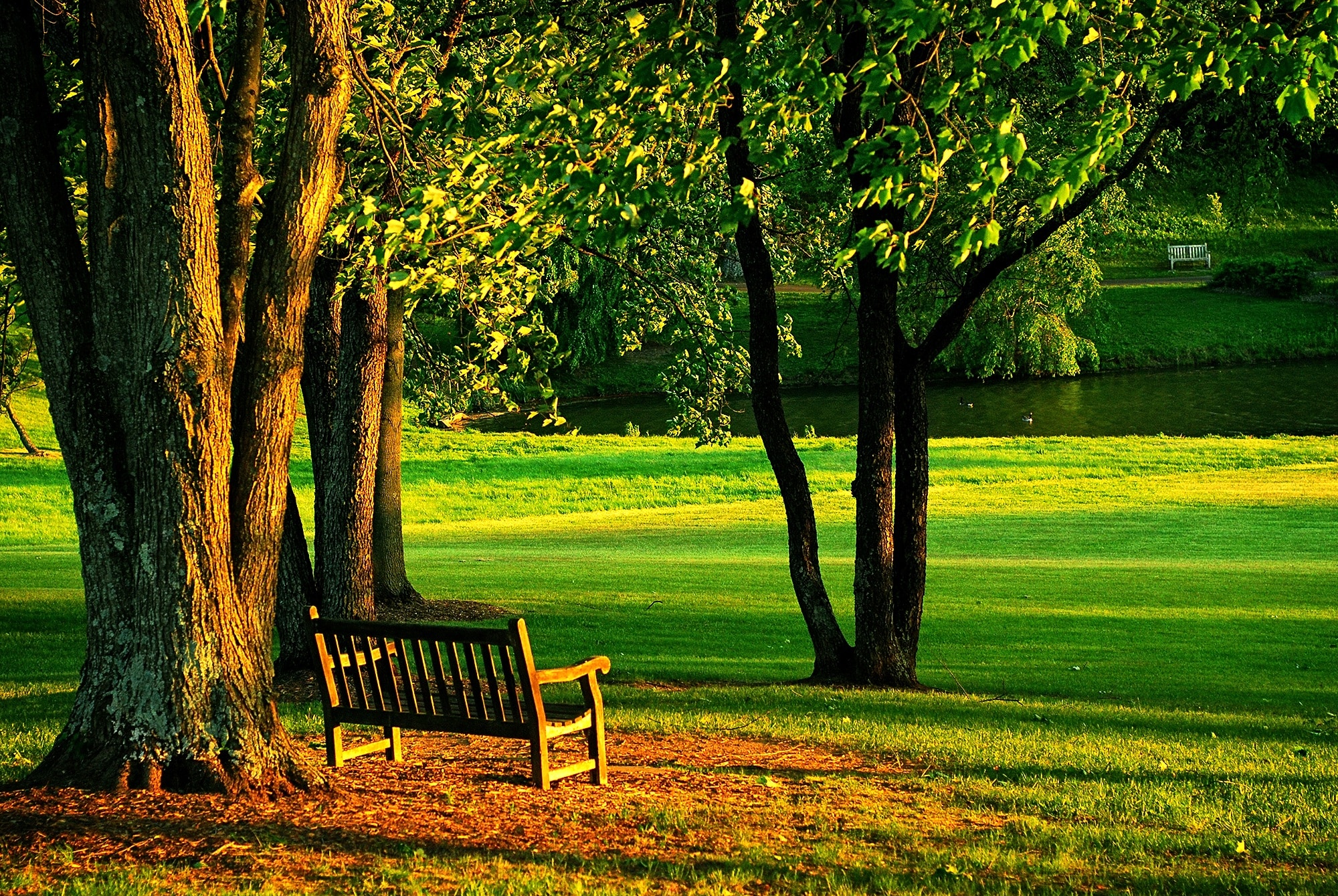 brown wooden bench