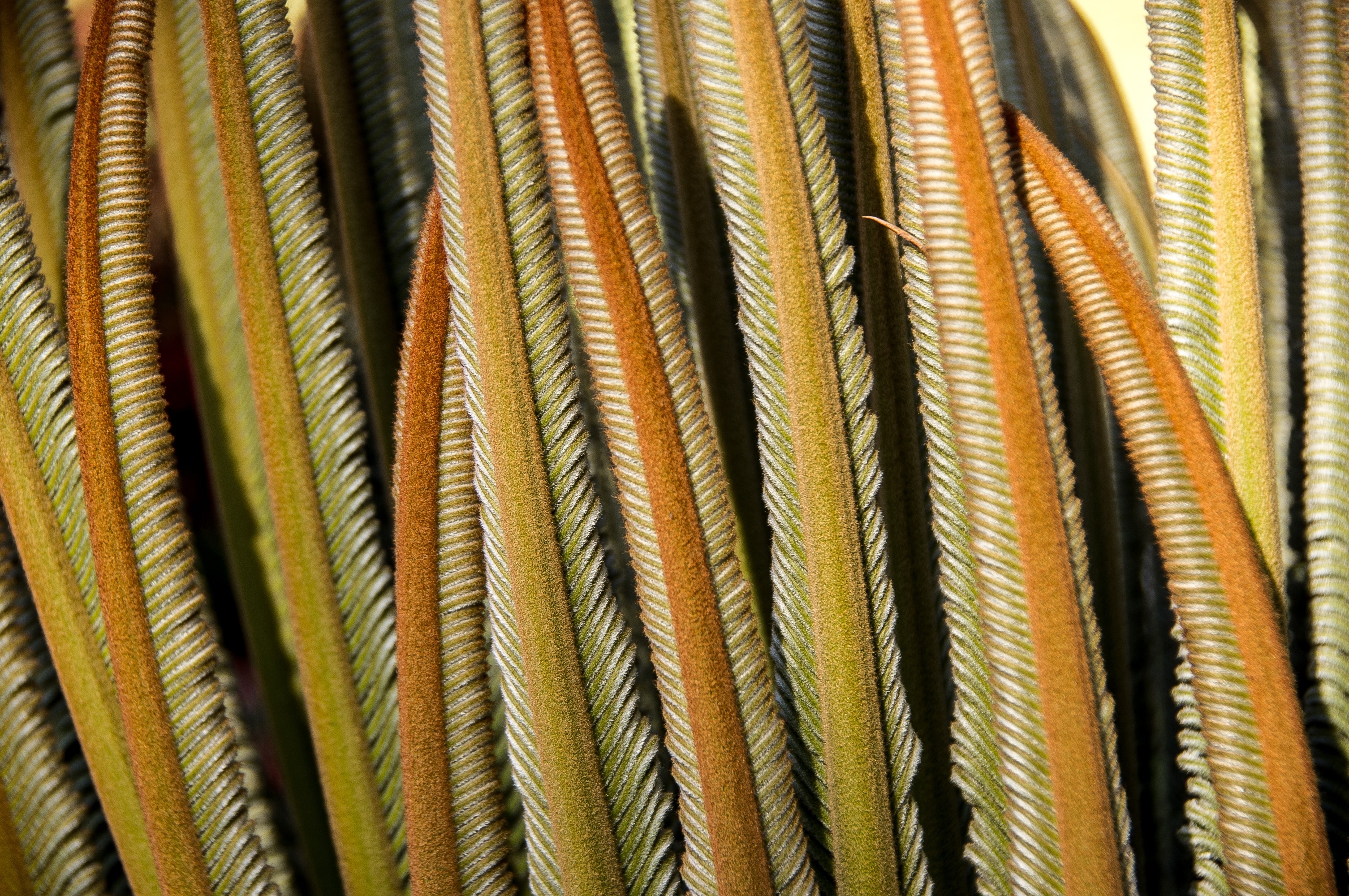 green and brown textile