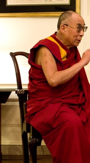 Dalai Lama, Portrait, Discussion, Smile, one man only, mature adult thumbnail
