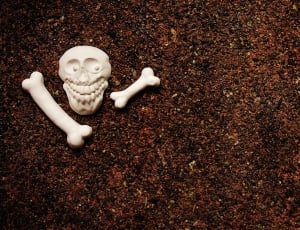 skull and bones plastic toy thumbnail