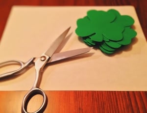 scissors beside the clover cut-out leaves thumbnail