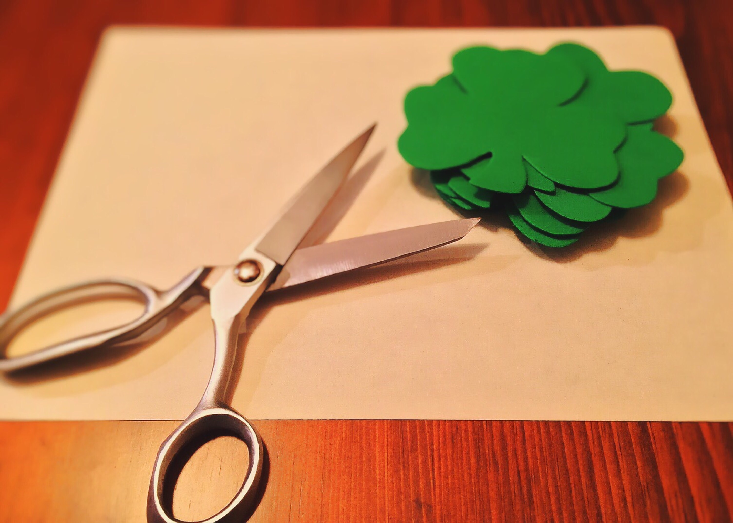 scissors beside the clover cut-out leaves