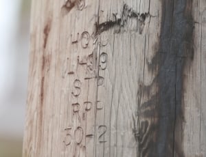 numbers engraved on brown wooden wall thumbnail