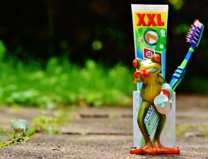 xxl frog plastic toy thumbnail