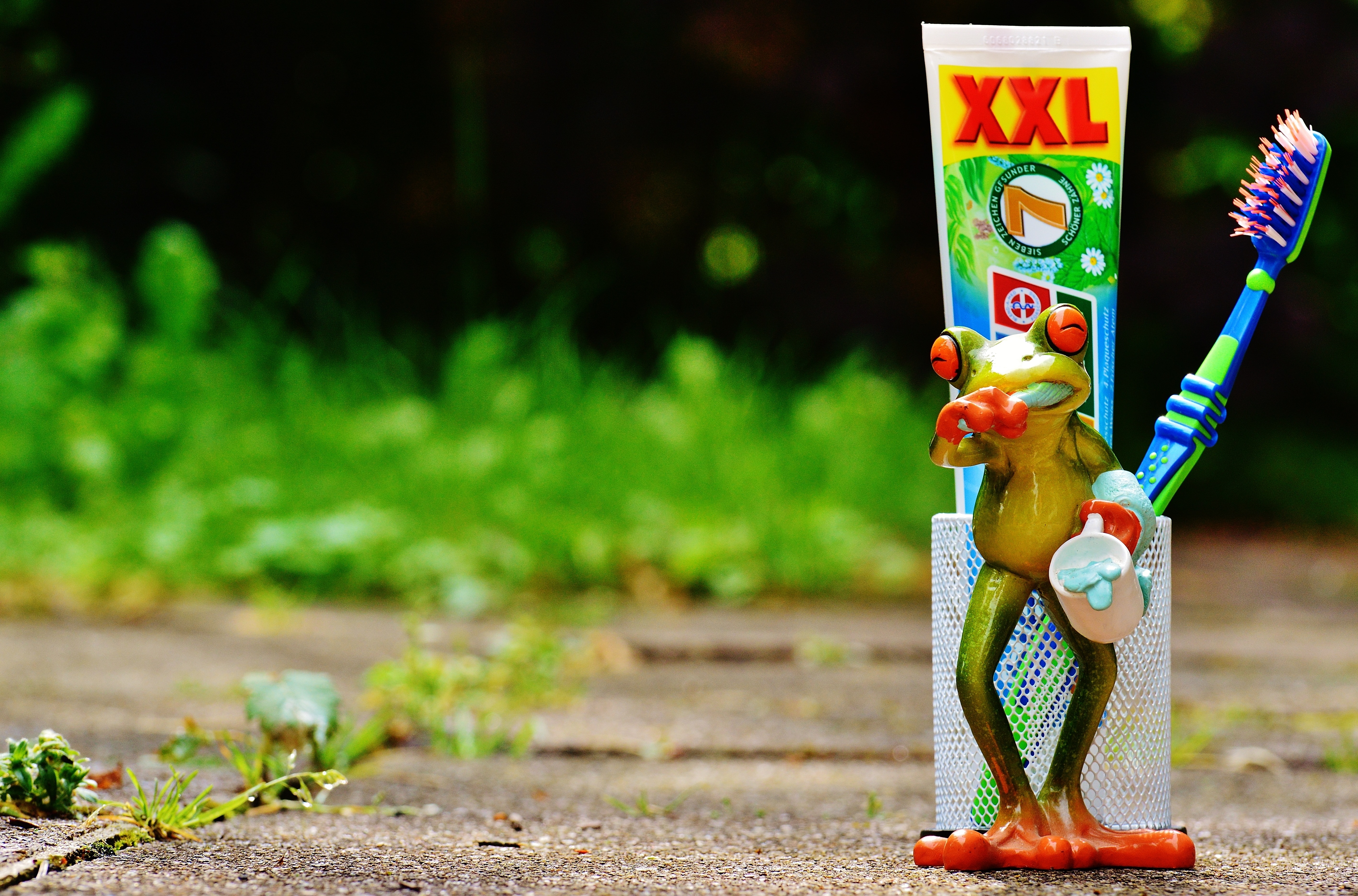 xxl frog plastic toy