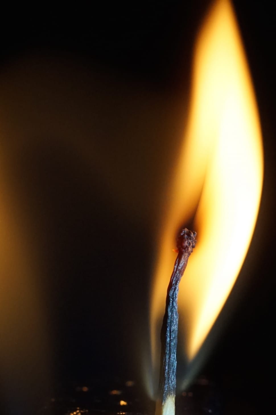 burnt matchstick preview