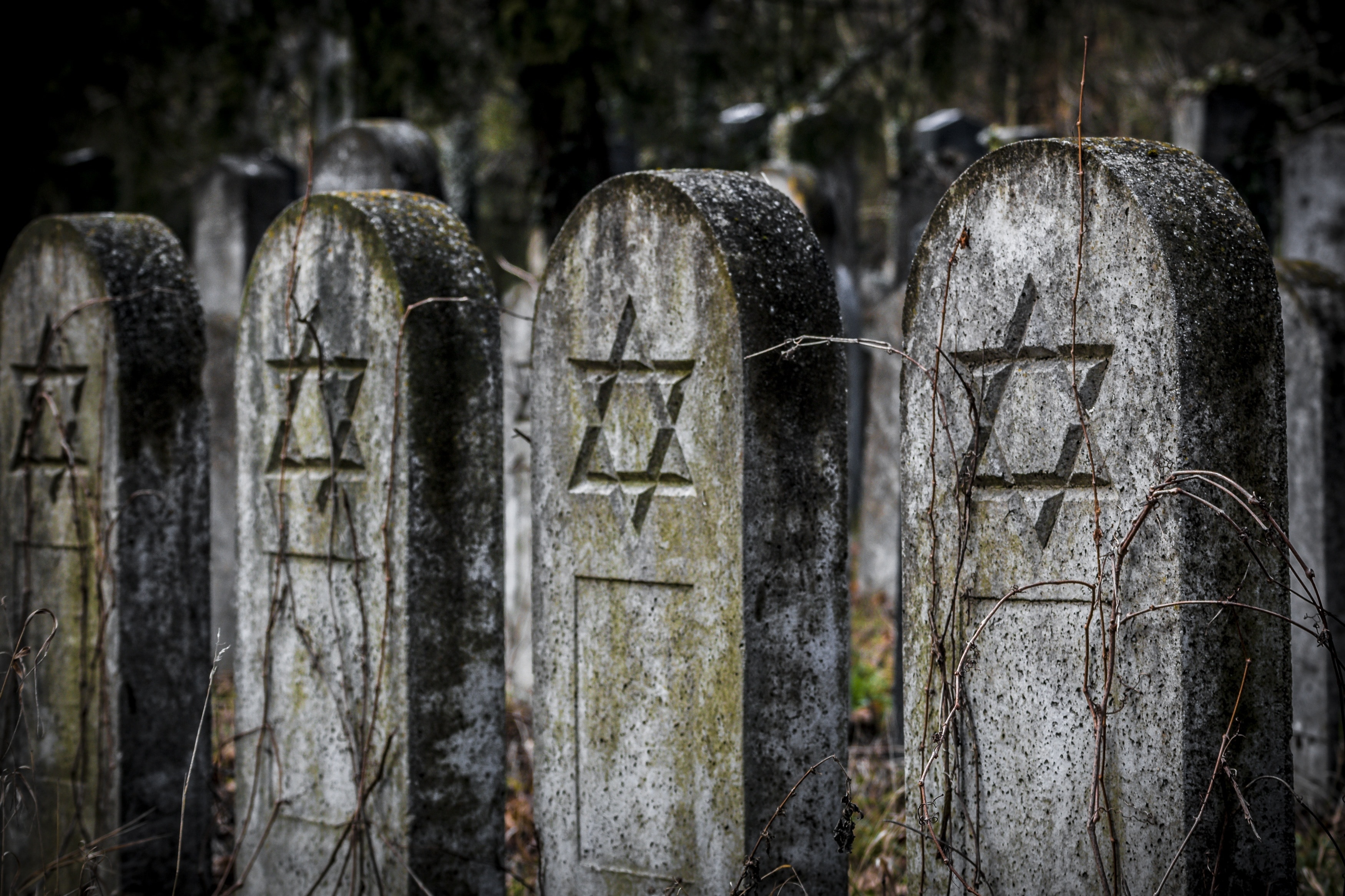 star of david tombstones