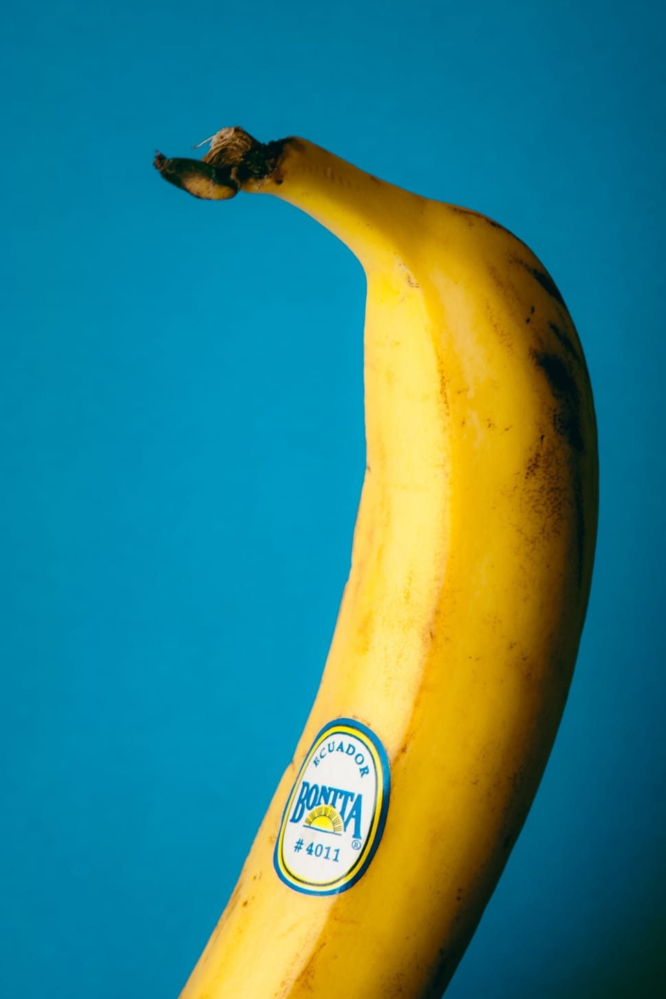 Banana fruit on blue background preview