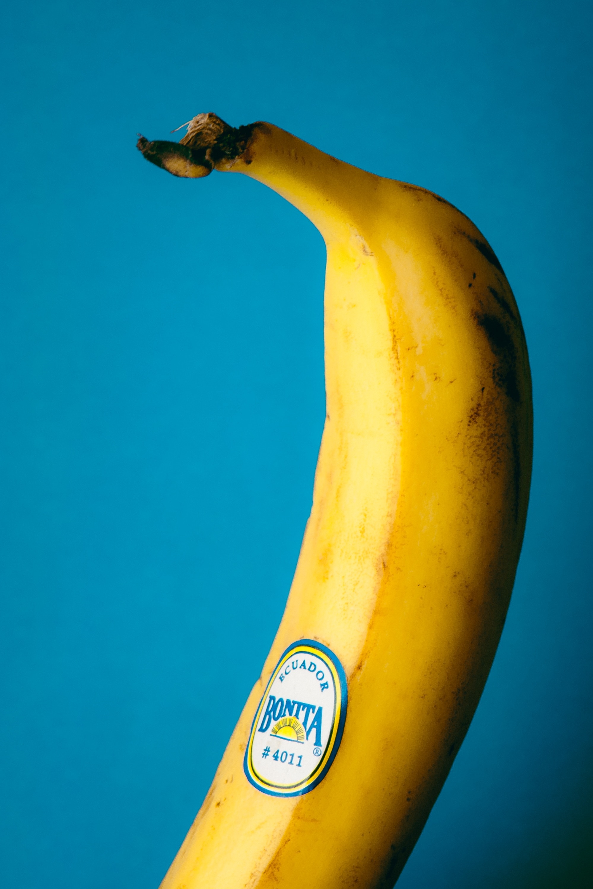 Banana fruit on blue background