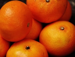 orange citrus thumbnail