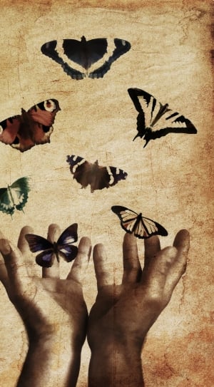 seven colored butterflies with two hand illustration thumbnail