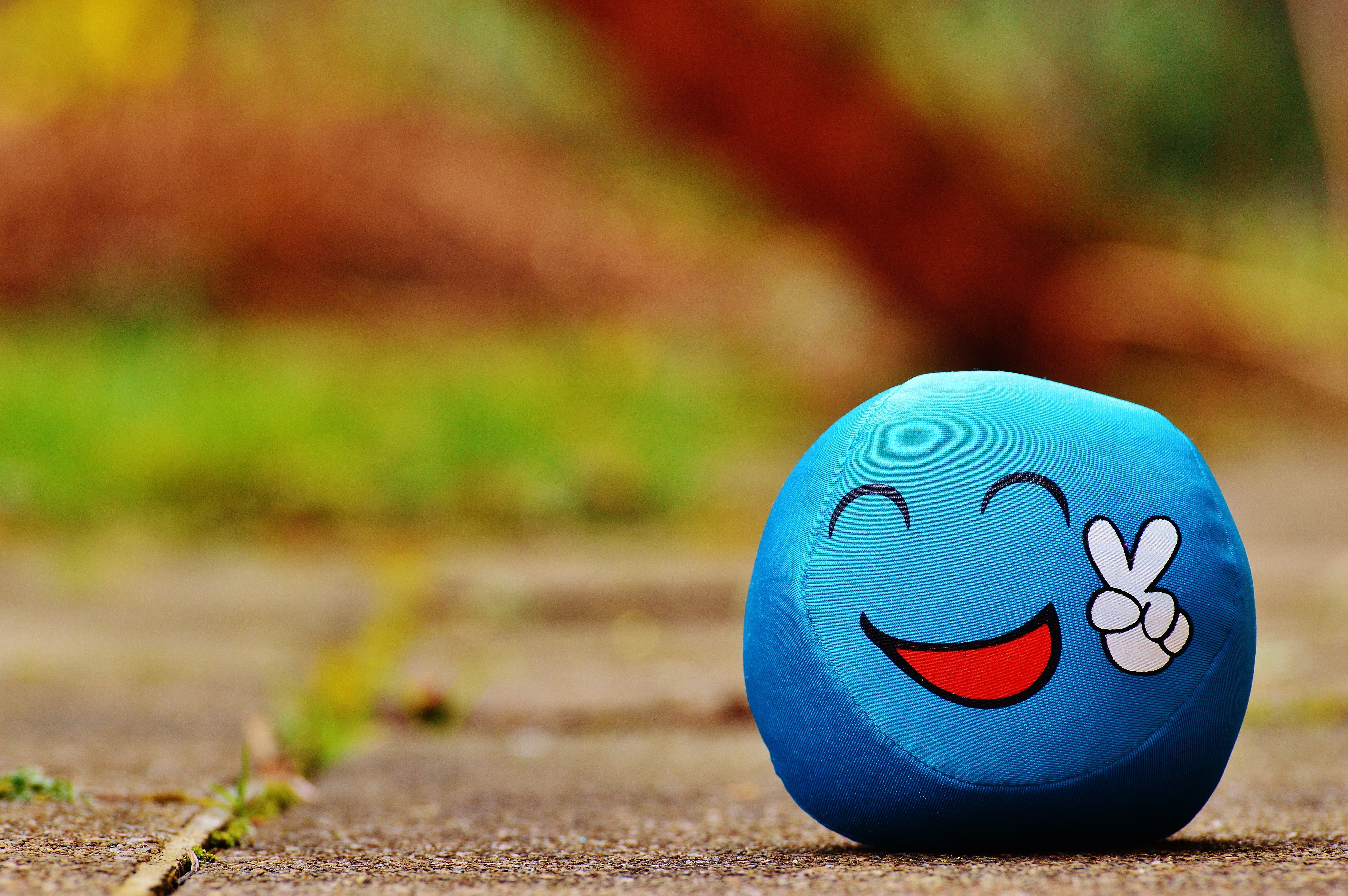 blue ball toy on ground