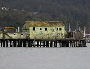 beige and green wooden dock house thumbnail