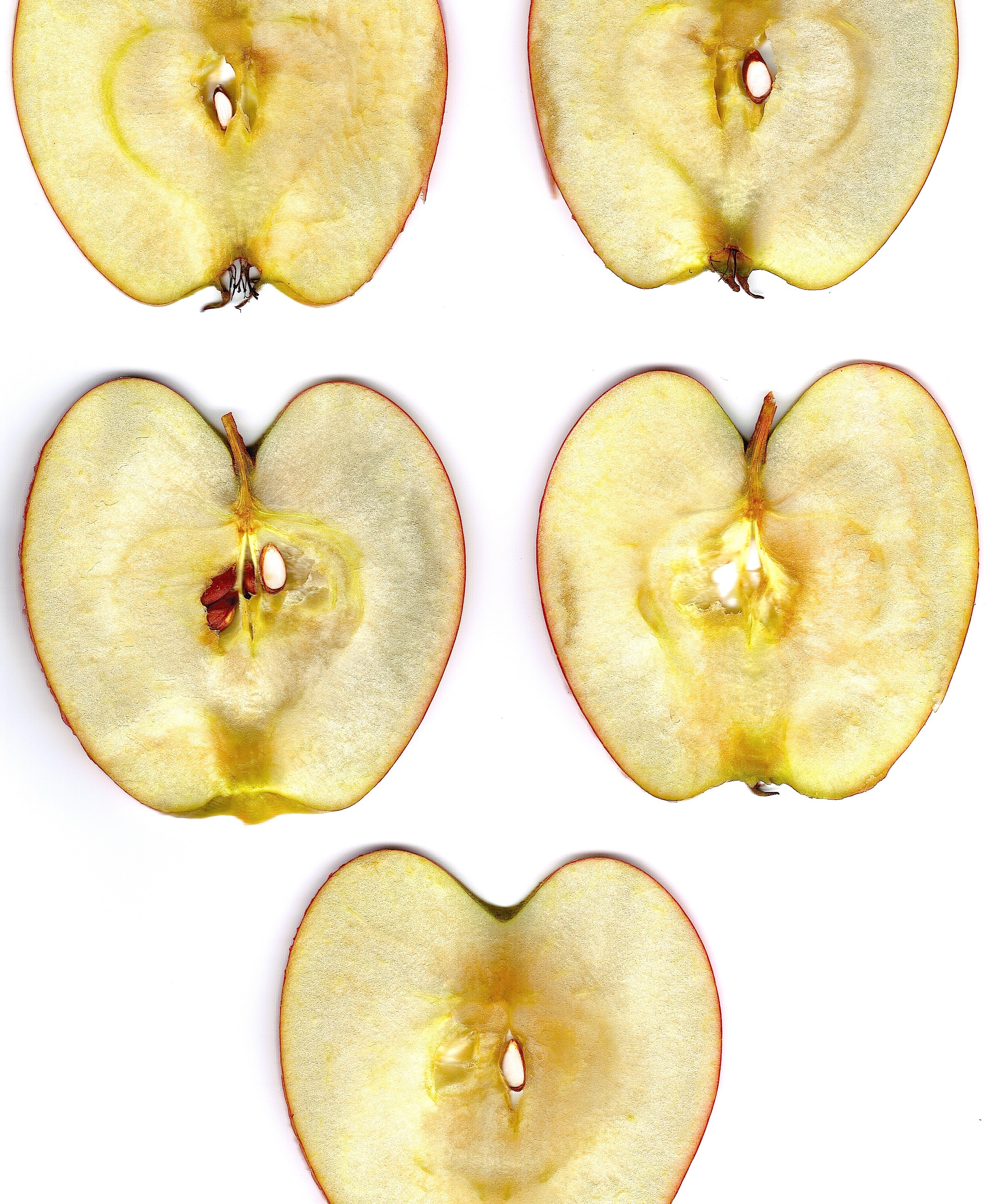 Или кусочек яблока или орешек. Сердцевина яблока. Срез яблока. Плод яблоко. Яблоко в разрезе.