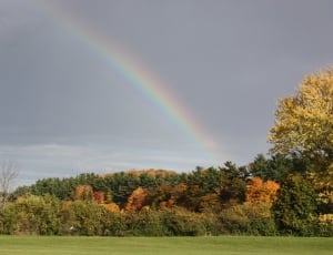 Fall, Fall Leaves, Leaves, Rainbow, rainbow, tree thumbnail