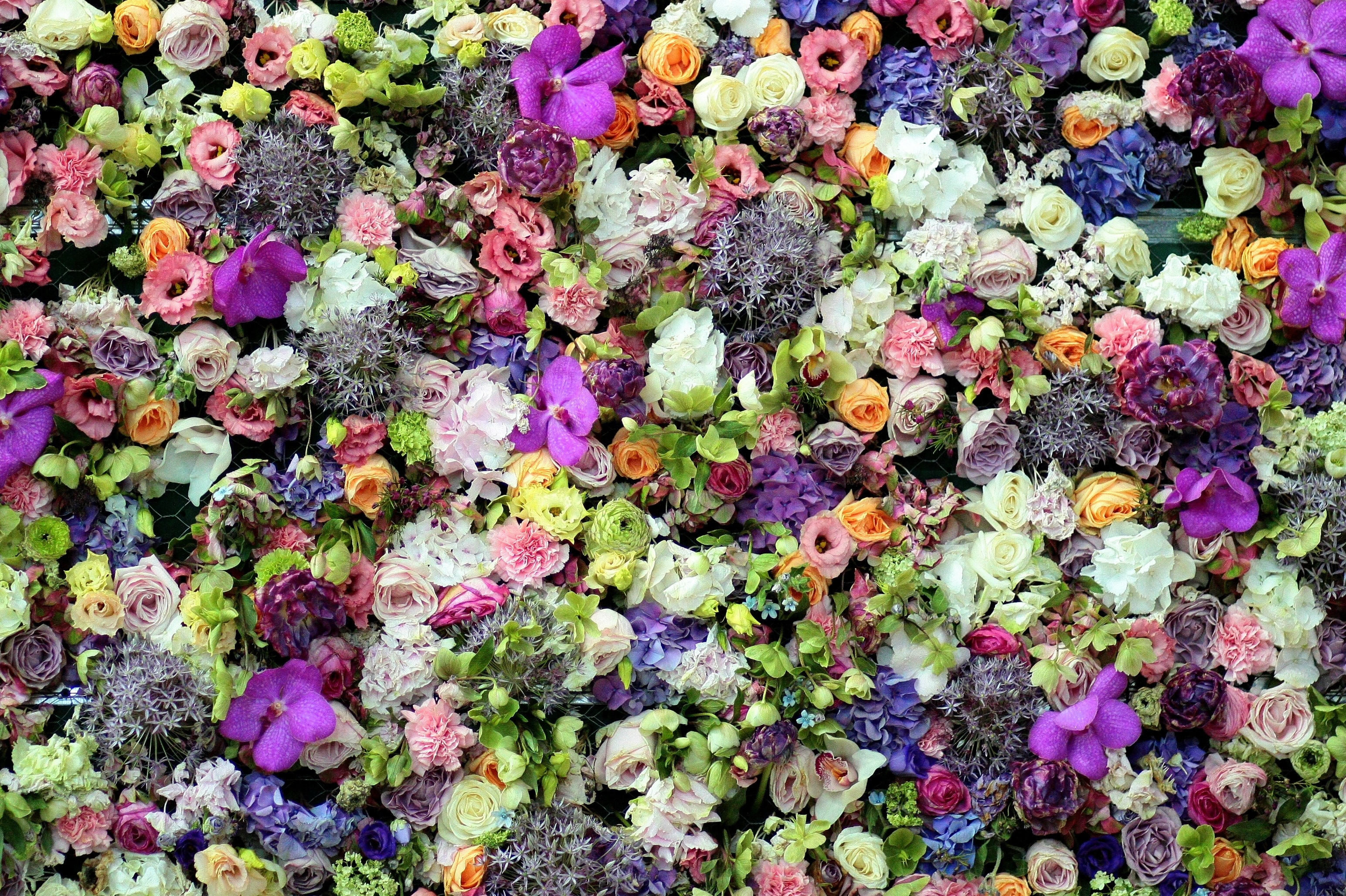 Цветной коврик цветы