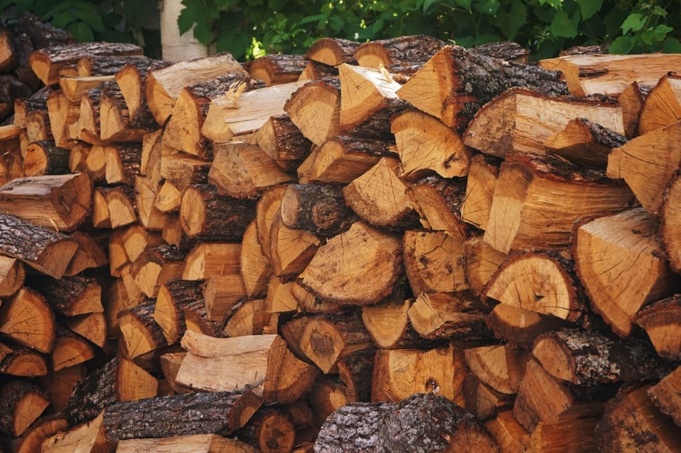 Firewoods, Chopped Wood, Bark, Wood, abundance, large group of objects preview