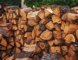 Firewoods, Chopped Wood, Bark, Wood, abundance, large group of objects thumbnail