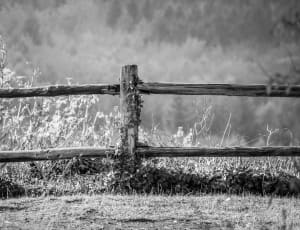 grey wooden fencew thumbnail