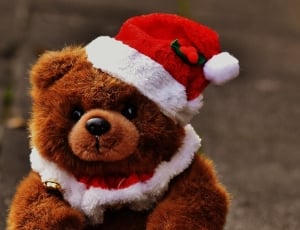 brown bear plush toy with santa hat thumbnail