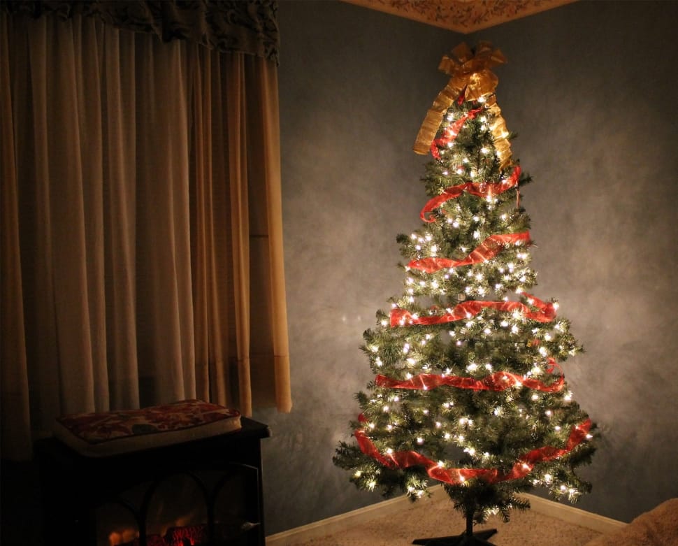 Holiday, Christmas, Christmas Tree, christmas, christmas tree preview