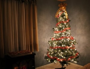 Holiday, Christmas, Christmas Tree, christmas, christmas tree thumbnail