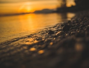 silhouette of body of water thumbnail