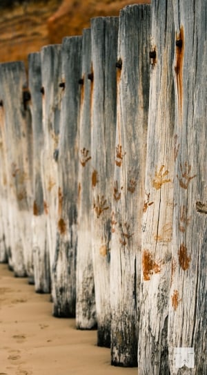 grey and brown wooden fence thumbnail