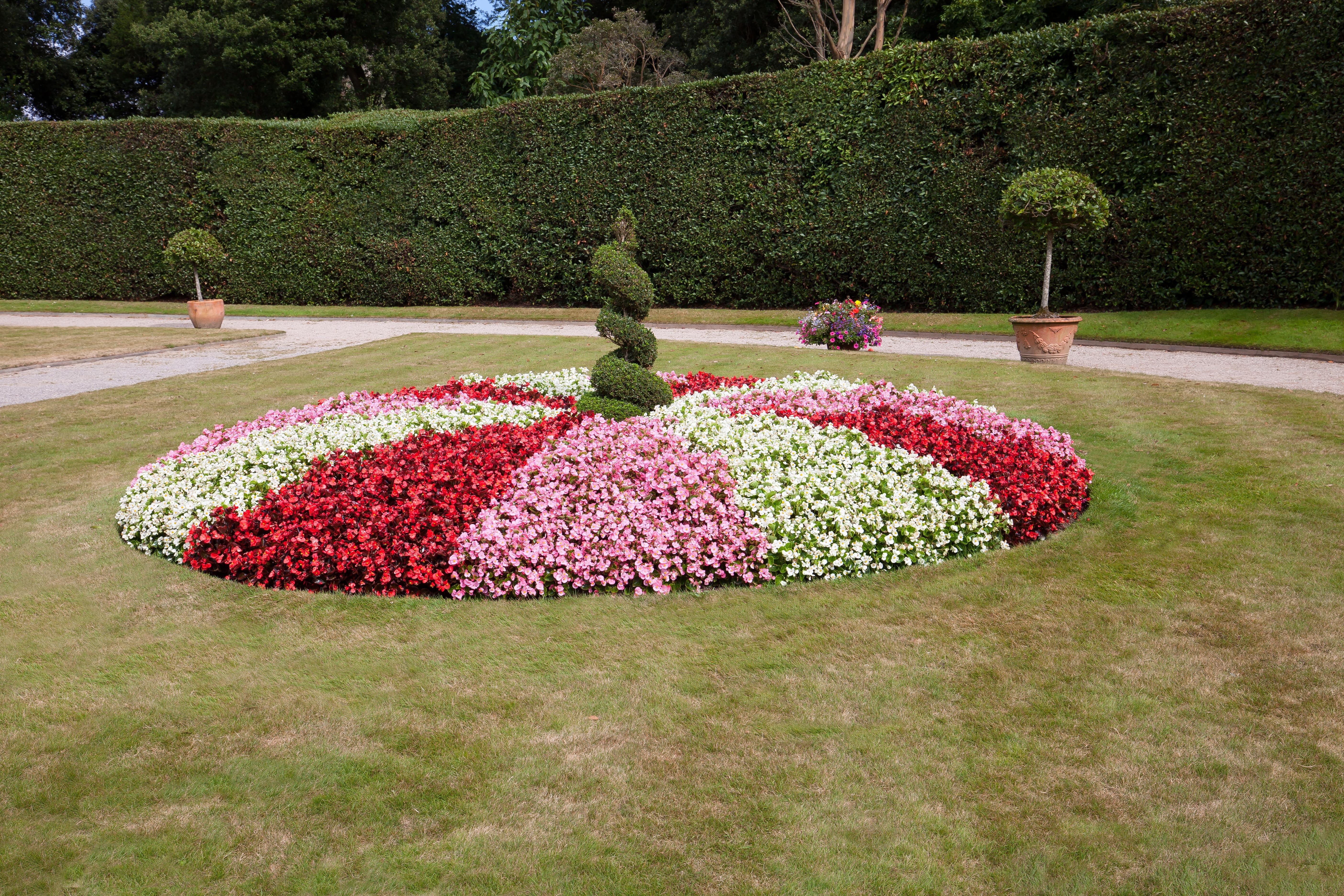 pink, white and red flower garden