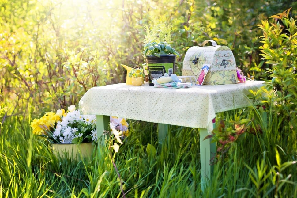 Planting, Herbs, Gardening, Summer, chair, outdoors preview