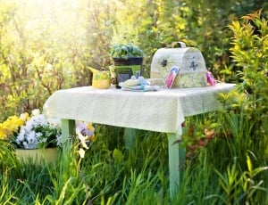Planting, Herbs, Gardening, Summer, chair, outdoors thumbnail