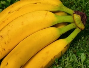 yellow banana thumbnail