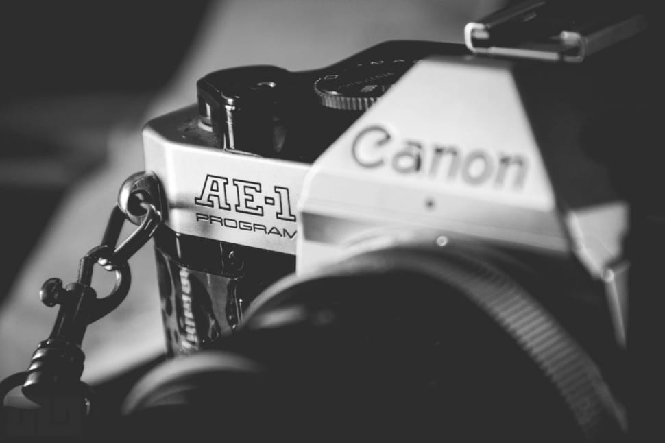 gray and black canon dslr camea preview